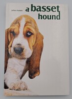 A basset hound - Juhász Katalin