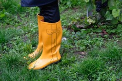 Veuve Clicquot esőjáró gumicsizma 36/37-es méretben – hordozózsákkal és eredeti dobozban
