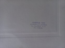 Régi portréfotó bajuszos férfi, Ambrus Teri műterem, Budapest, 1930-as évek