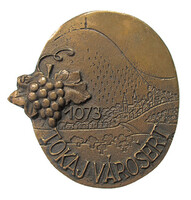 Varga Éva: Tokaj városért kitüntető érem