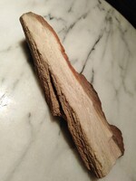 Megkövesedett fa - 12.5 cm