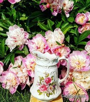 Angol kancsó kanna kiöntő