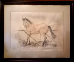 Prima díjas művésztől, Hóka a kifutón. 70x55 cm külső méretű krétarajz  Károlyfi Zsófia (1952-)