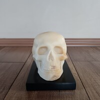 Antik alabástrom faragott koponya / Memento mori