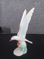 Hollóházi porcelán sirály, jelzett, sérülésmentes, kézi festésű,mag.: 14,5 cm, szél: 8,5 cm