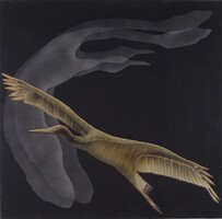 1X387 Vásárhelyi Katalin : Madár 60 x 60 cm