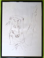 Melocco Miklós: Ló és lány táncol