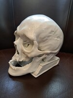 RITKASÁG ELSŐ OSZTÁLYÚ JELZÉSSEL!! Hibátlan Herendi Memento Mori / koponya porcelán