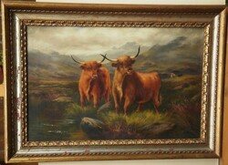 (K) James Levin Henry (1855-1929) : Skót felföldi marhák