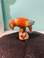 Herendi nagyobb papagáj