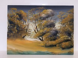 Marosán László - Borús felleg olaj, farost 30x40 cm