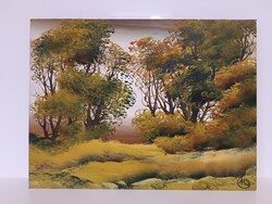 Marosán László - Tisztás olaj, farost 30x40 cm