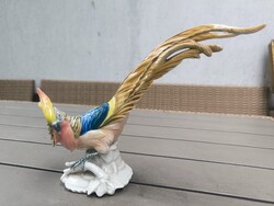 Beautiful Colorful Ens Volkstedt Bird, Rare and Special Piece for Collection