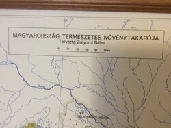 Magyarország természetes növénytakarója terkép