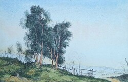 Rudnay Gyula szignózott színes rézkarc: Bábonyi táj