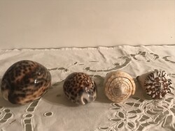 CSIGA - 4 db - ALKUKÉPES - FÉNYES - 9 x 6 x 5 cm - 6 x 4 x 3,5 cm - HIBÁTLAN