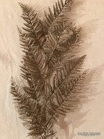 VIRÁG - 90 cm - ARANY- ALKUKÉPES - 90 x 30 cm - VASTAGON  CSILLÁMOS - LEVÉL - HIBÁTLAN