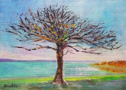 Aranyló Balaton-part (25x35)
