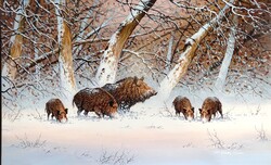 Pankotai Sándor festmény 50x80 cm