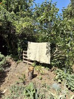 Erdélyi hófehér cserge 214x136 cm