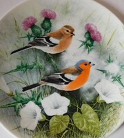 Royal Doulton madaras angol tányér - erdei pintyek