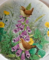 Royal Doulton madaras angol tányér - ökörszem