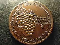 Szőlőtermelő szakcsoport Tapolca 1963-1985 99,68g 60mm