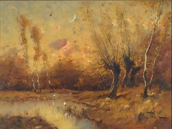 Alberth Ferenc : Mocsaras táj