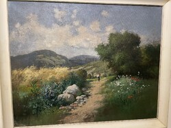 Zorkóczy Gy.-Mezőn..nagy méretben..(!)