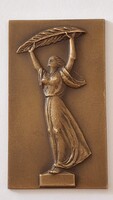 Magyar Vízilabda bajnokság  1950  III.  bronz emlék plakett 4 , 8 x 8 cm