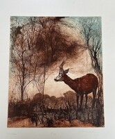 Kiss Péter : Őzbak