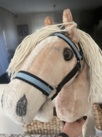 Hobby horse/ hobbi ló