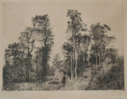 Dudás Jenő (1900-1991) : "Budai erdő" rézkarc 44 x 56 cm