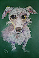 Vibók: Picur 35x50 cm