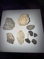 Ásványok ,kagylók, csigák