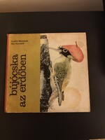 Bújócska az erdőben Navratil-Manasek