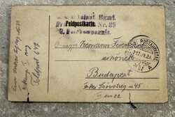 I.Világháborús levél préselt növényekkel