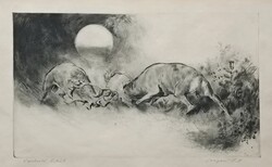 Csergezán Pál: Verekedő bikák