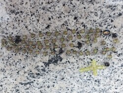 Uránüveg gótikus rózsafüzér nyaklánc arany színben #25108