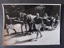 Régi fotó Vidám kirándulás lovas kocsival és kerékpárokkal 1940-es évek