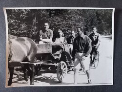 Régi fotó Vidám kirándulás lovas kocsival és kerékpárokkal 1940-es évek