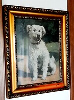 IngyenesPosta!Festmény:kutya portré dekotatív antik fa keretben