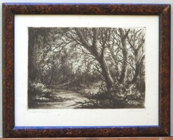 (N) Paulovits Pál (1892-1975) : Patak az erdőben