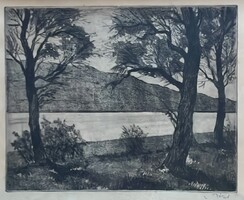 Biai Föglein István (1905-1974) Fák, jelzett rèzkarc, 28x22cm