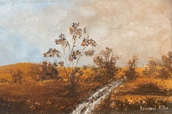 Losonci Lilla: Domboldal - kis olaj, karton