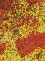 Bálint Ildikó kortárs grafikus szitanyomat/ 1988