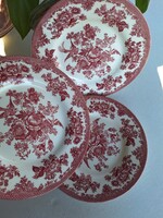 Staffordshire madaras kistányérok