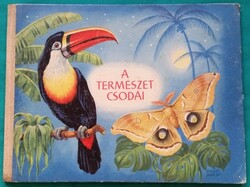 Rudolf Engel-Hardt: A természet csodái képeskönyv> Gyermek- és ifjúsági irodalom > Ismeretterjesztő