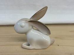 Aquincumi aqua nyuszi