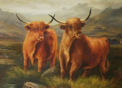 (K) James Levin Henry (1855-1929) : Skót felföldi marhák